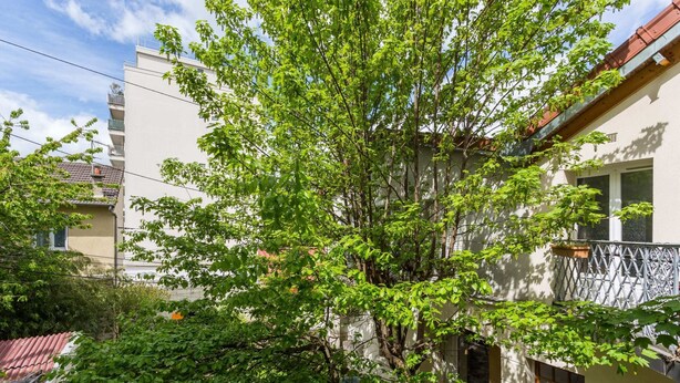 A building with a tree in front, a balcony, and a window. - Résidence MALAKOFF (Malakoff)
