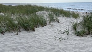 Ein sandiger Strand mit hohem Gras im Vordergrund und dem Meer im Hintergrund.
