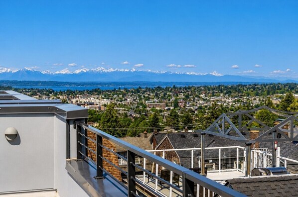 A rooftop with a metal railing overlooking a residential area with houses and a distant mountain range.