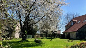 Ein Garten mit einem großen Baum, einer Steinmauer und einem Haus mit rotem Dach.