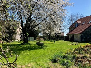 Property grounds - Country house in Burgundy (ETAIS LA SAUVIN)
