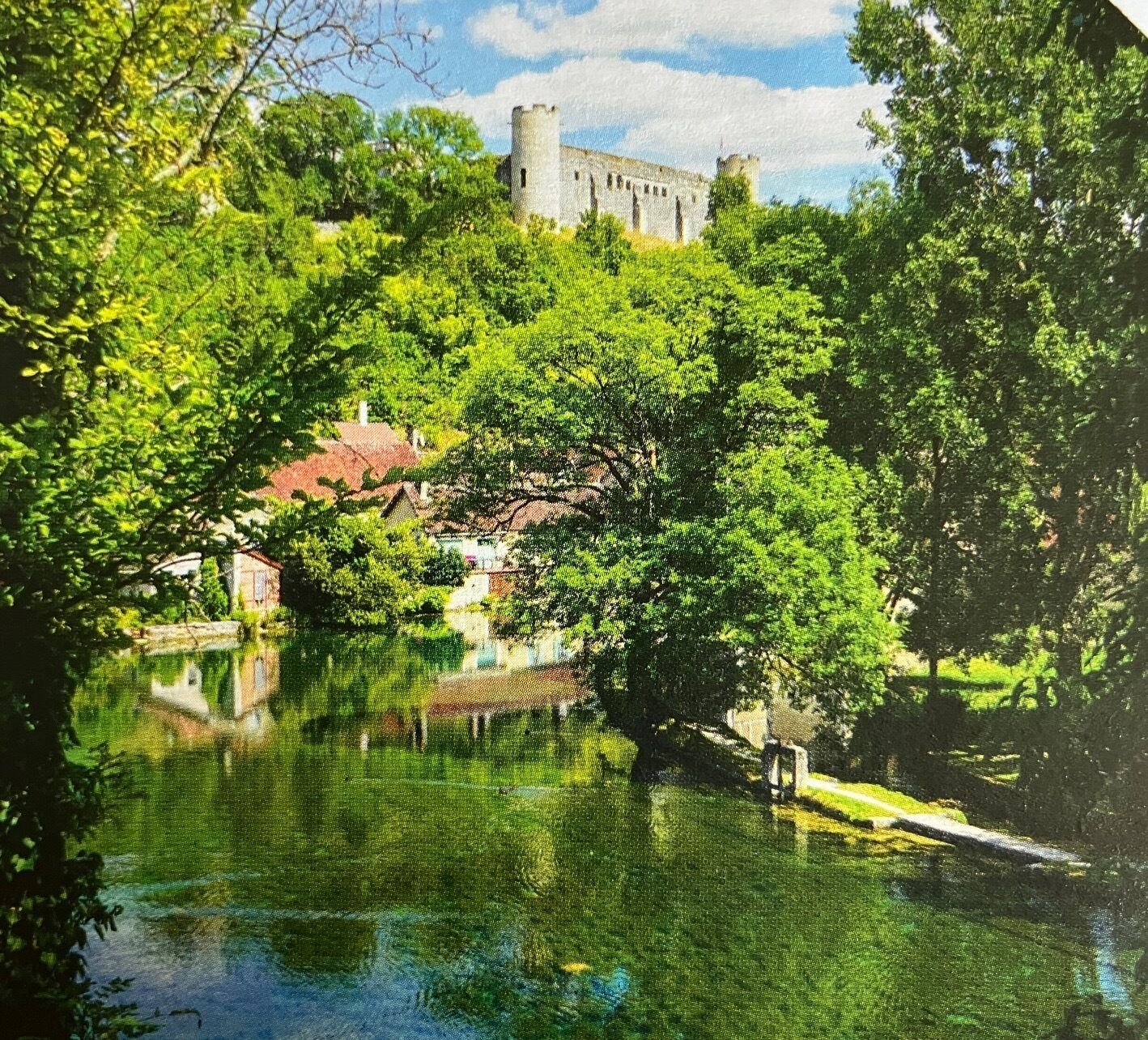 A castle surrounded by lush greenery and a calm body of water.