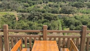 Eine Holzterrasse mit Tisch und Bänken, mit Blick auf einen angelegten Garten mit verschiedenen Pflanzen und Bäumen.