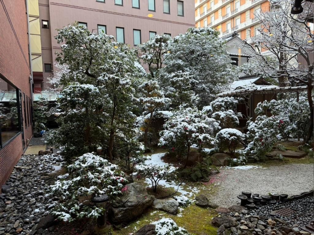 A courtyard with snow-covered trees and a small stream.
