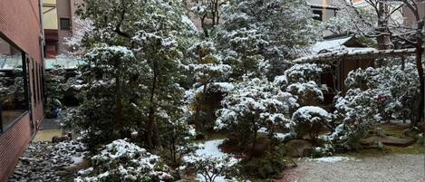 A courtyard with snow-covered trees and a small stream.