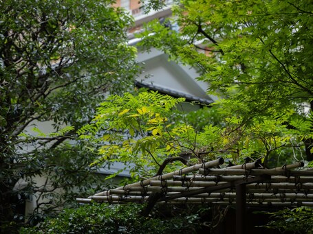 LOISIR HOTEL CLASSIC GARDEN KYOTO SANJO - Image 20