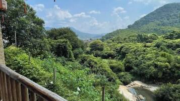 Vista des de l'allotjament