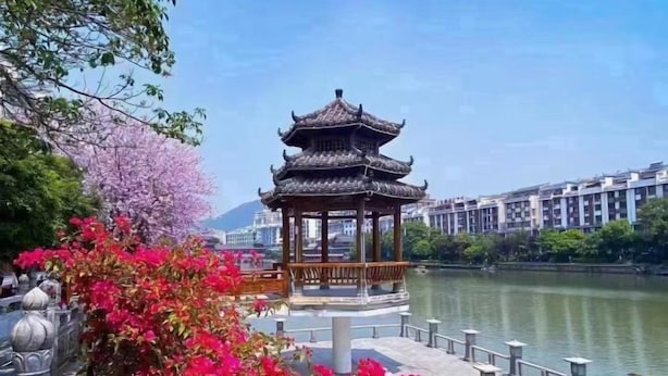 Um pavilhão tradicional junto a um rio calmo, rodeado por flores em flor e edifícios modernos ao fundo.