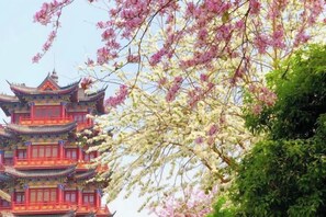 Miscellaneous - Yaohua Shangpin Hotel (Wuzhou Mengshan Yong'an Ancient City) (Mengshan)