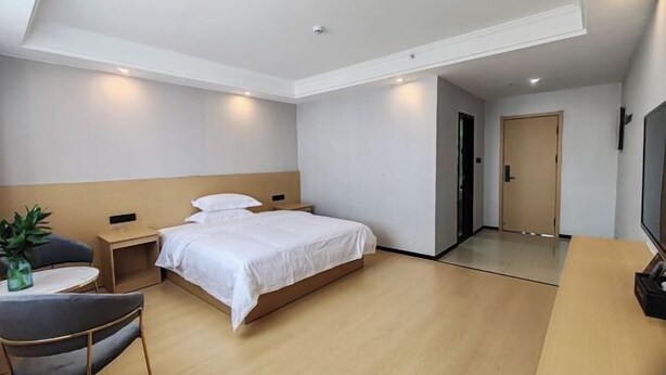 Habitación de hotel moderna con una cama individual, un escritorio pequeño, una silla, un televisor y una planta.