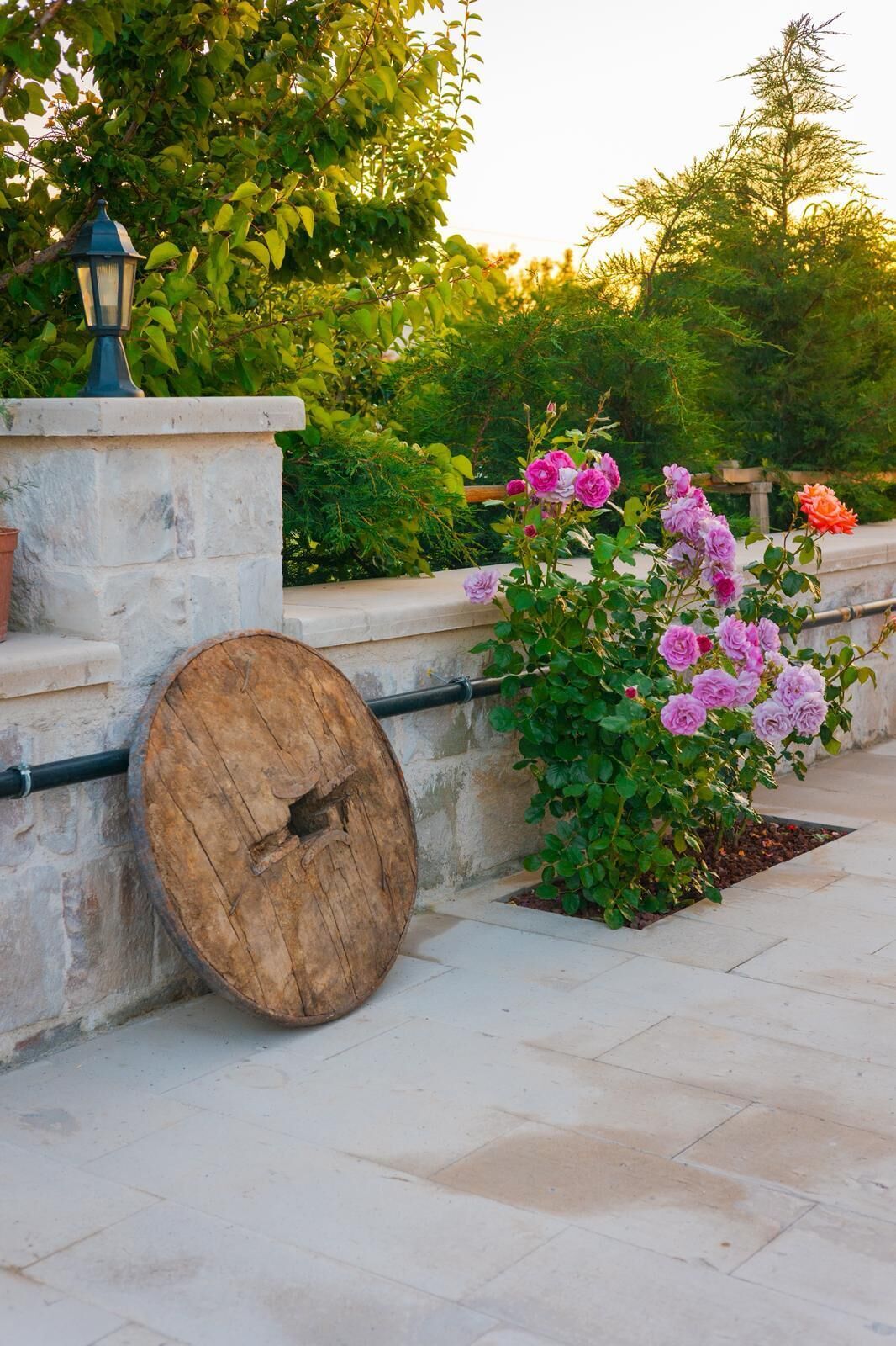 A stone bench with a wooden log, surrounded by blooming pink and purple roses.