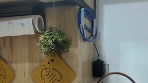 Habitació acollidora amb terra de fusta, una petita test de terracota amb una espelma encèsa, una cistella decorativa i una planta penjada a la paret.