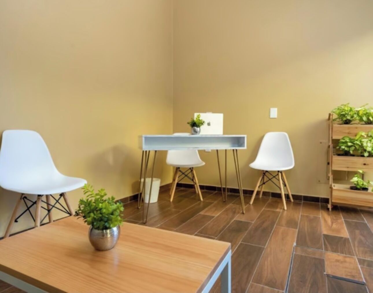 Foto - The garden hotel palenque