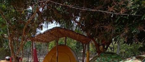 A campsite with a yellow tent and a camouflage tent under a tree.