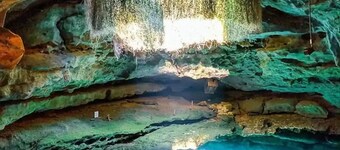 Sunny Springs Oasis