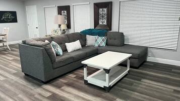 Smart TV, fireplace, books