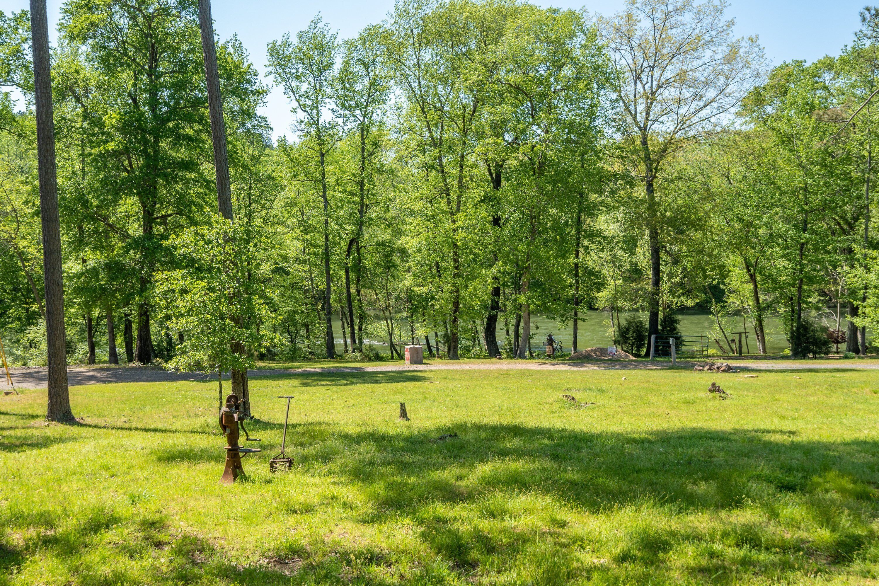 Un parco con un prato, alberi e un idrante.