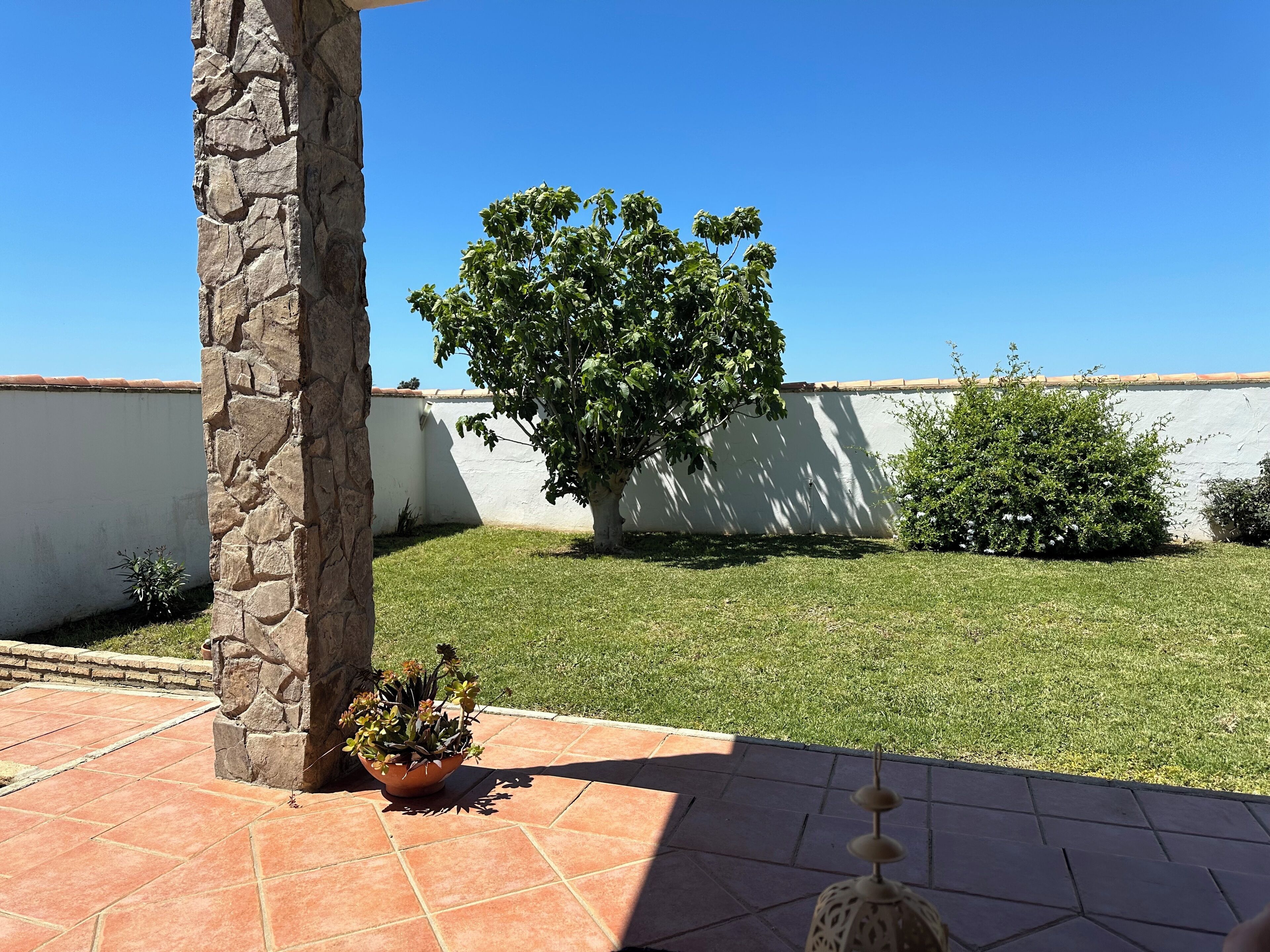 Un patio con un pilar de piedra, una planta en maceta y un árbol grande.