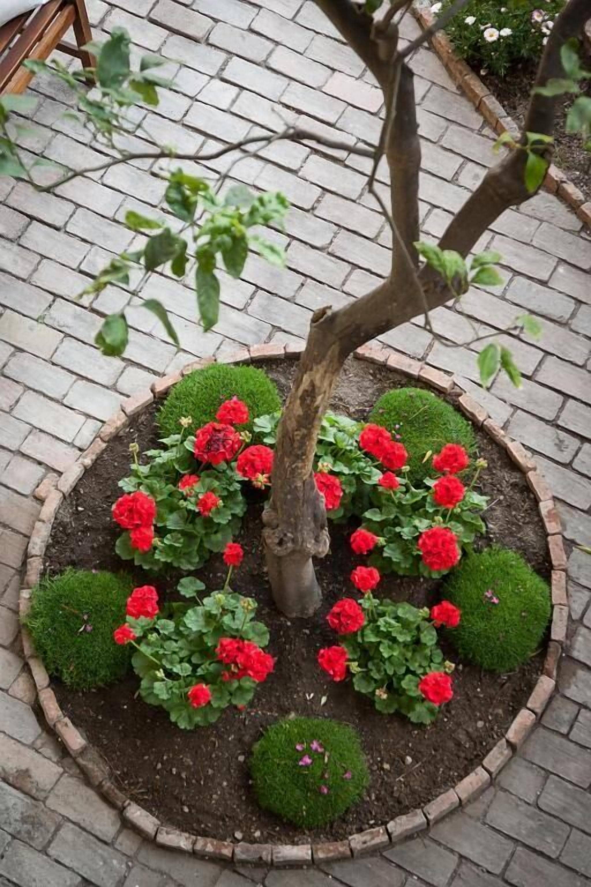 Foto - Villa Giannina B&B