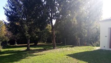 Terrein van de accommodatie