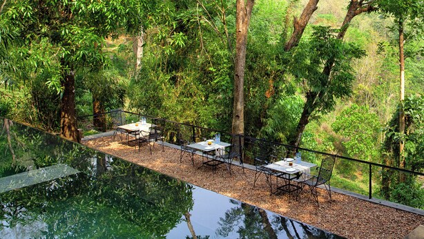 An outdoor dining area with tables and chairs, surrounded by dense greenery and trees. - Rainforest  (Chalakudy)