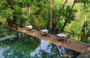 Outdoor pool - Rainforest  (Chalakudy)