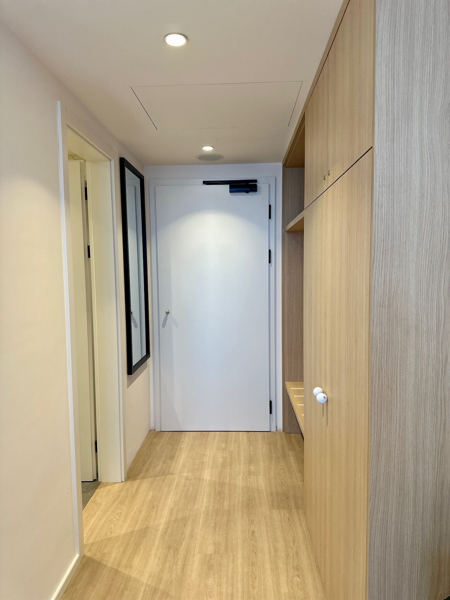 A hallway with a wooden floor, a white door, and a wooden wardrobe.