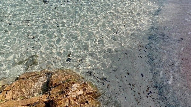 A beach with clear shallow waters, a sandy shore, and a backdrop of hills.