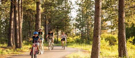 A paved path surrounded by tall trees, likely in a park or natural setting.