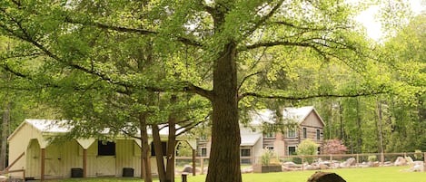 單棟房屋 (4 Bedrooms) | 內部