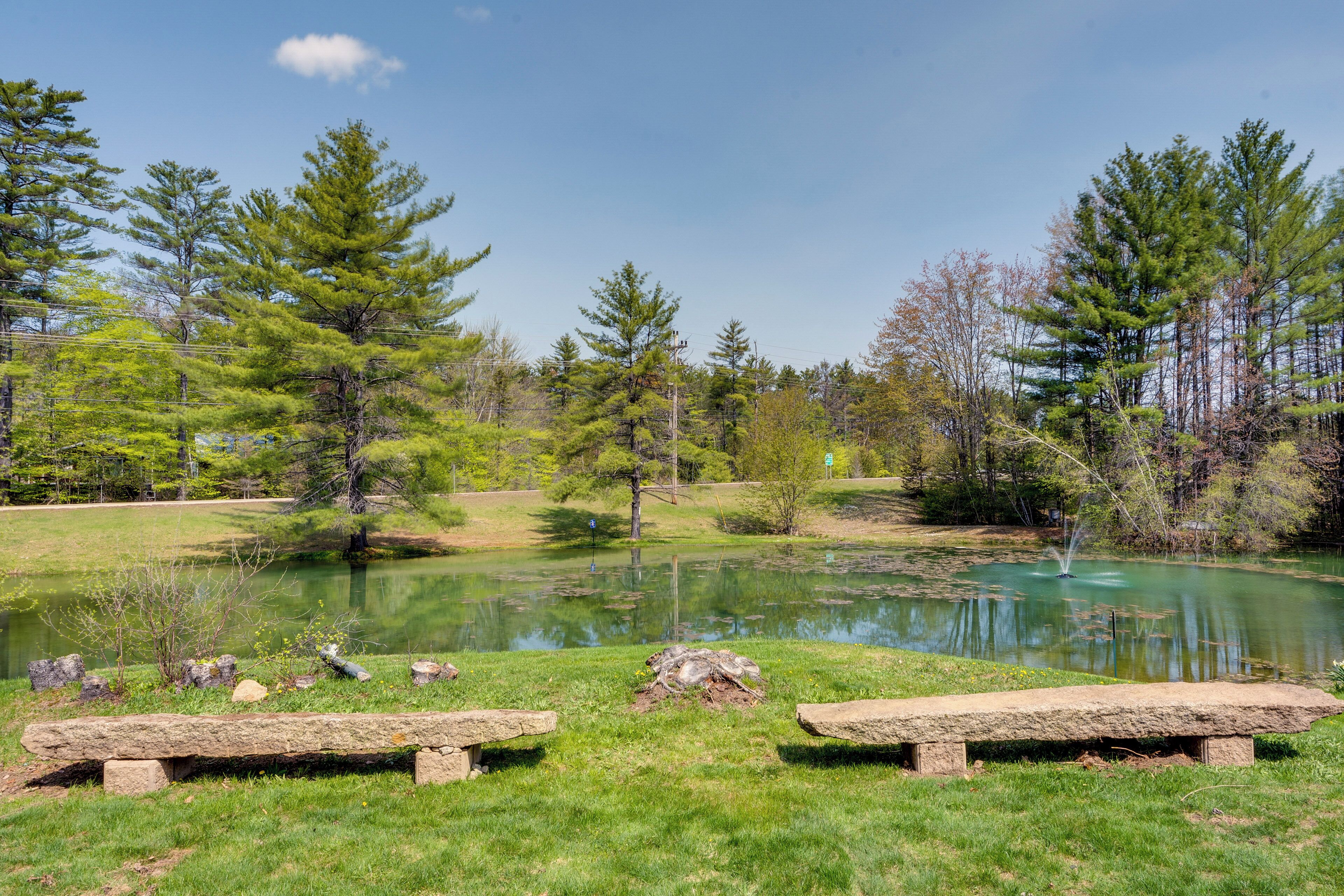 Ruhige Seelandschaft mit Picknicktischen und Teich, umgeben von Bäumen.