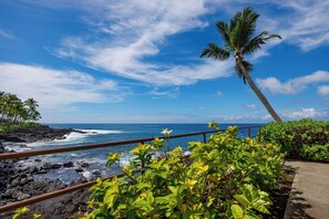 Property grounds - Kona Makai#1-102: Nearly Oceanfront, Ground Floor, with AC & Newly Remodeled! (Kailua Kona)