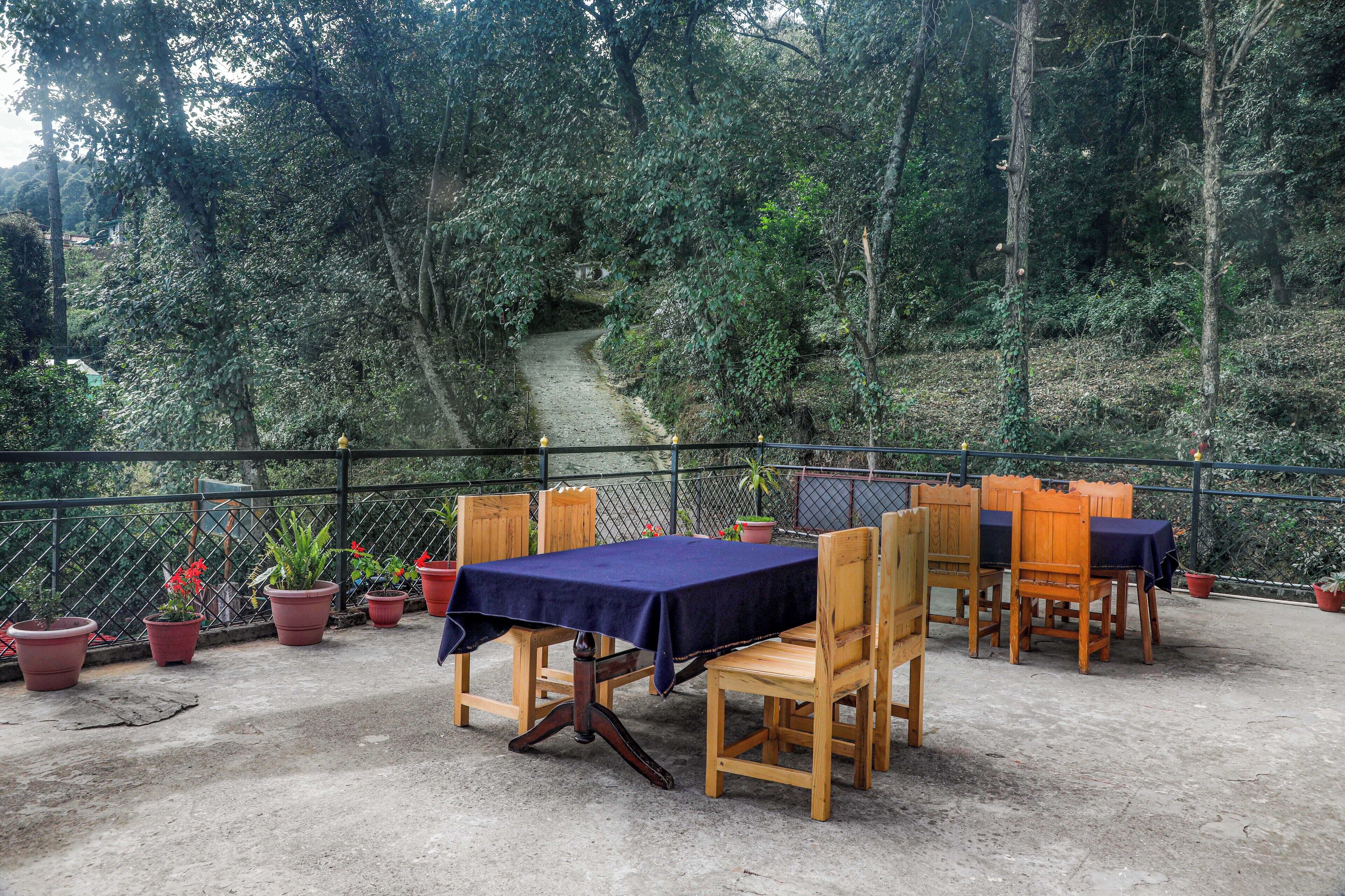 Une terrasse extérieure avec des tables et des chaises en bois, entourée de plantes en pot et offrant une vue sur une zone boisée.