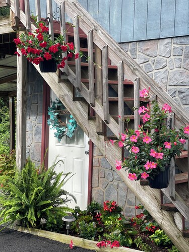 Charming and immaculate 1-bedroom Suite/Apartment in Elizabethton 