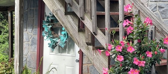 Charming and immaculate 1-bedroom Suite/Apartment in Elizabethton 