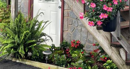 Charming and immaculate 1-bedroom Suite/Apartment in Elizabethton