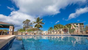 A swimming pool with a clear blue sky, palm trees, and a fenced area with lounge chairs.