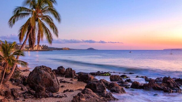 A beach with palm trees, rocky shoreline, and calm sea.