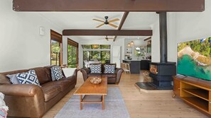 TV, fireplace, DVD player, books