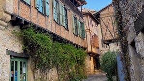 A narrow street flanked by historic buildings with wooden balconies and green shutters. - Auberge des Hirondelles (Puycelci)