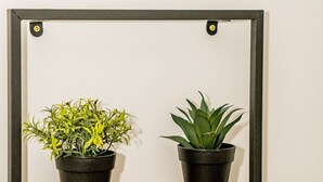 A wall-mounted shelf with two potted plants. - Confortable T2 avec terrasse, parking & vue étang (Sète)