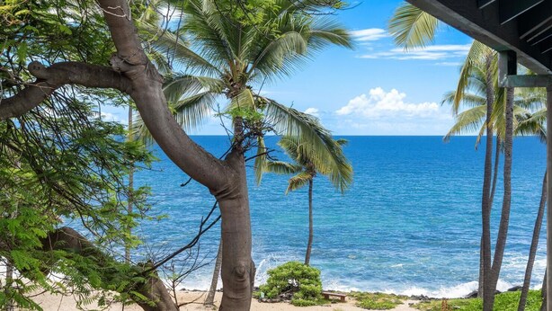 Ein Strand mit Palmen und Blick auf den Ozean.