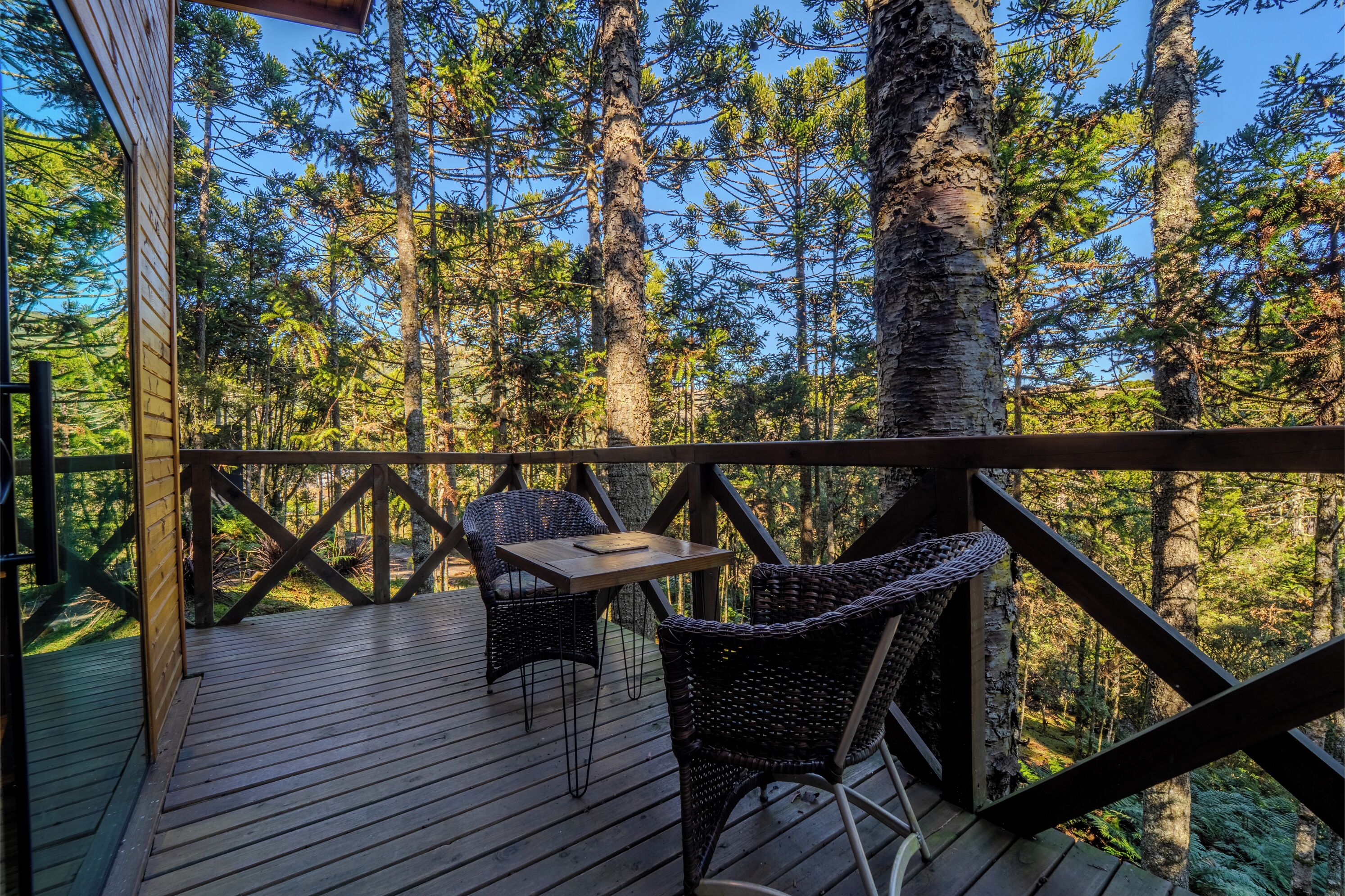 A wooden deck with wicker chairs and a table, overlooking a forest.