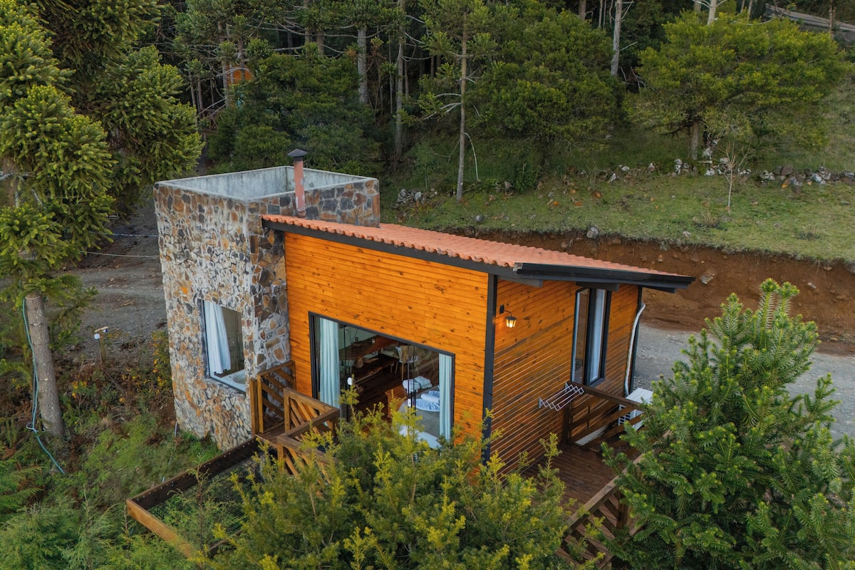 Chalet, vue montagne