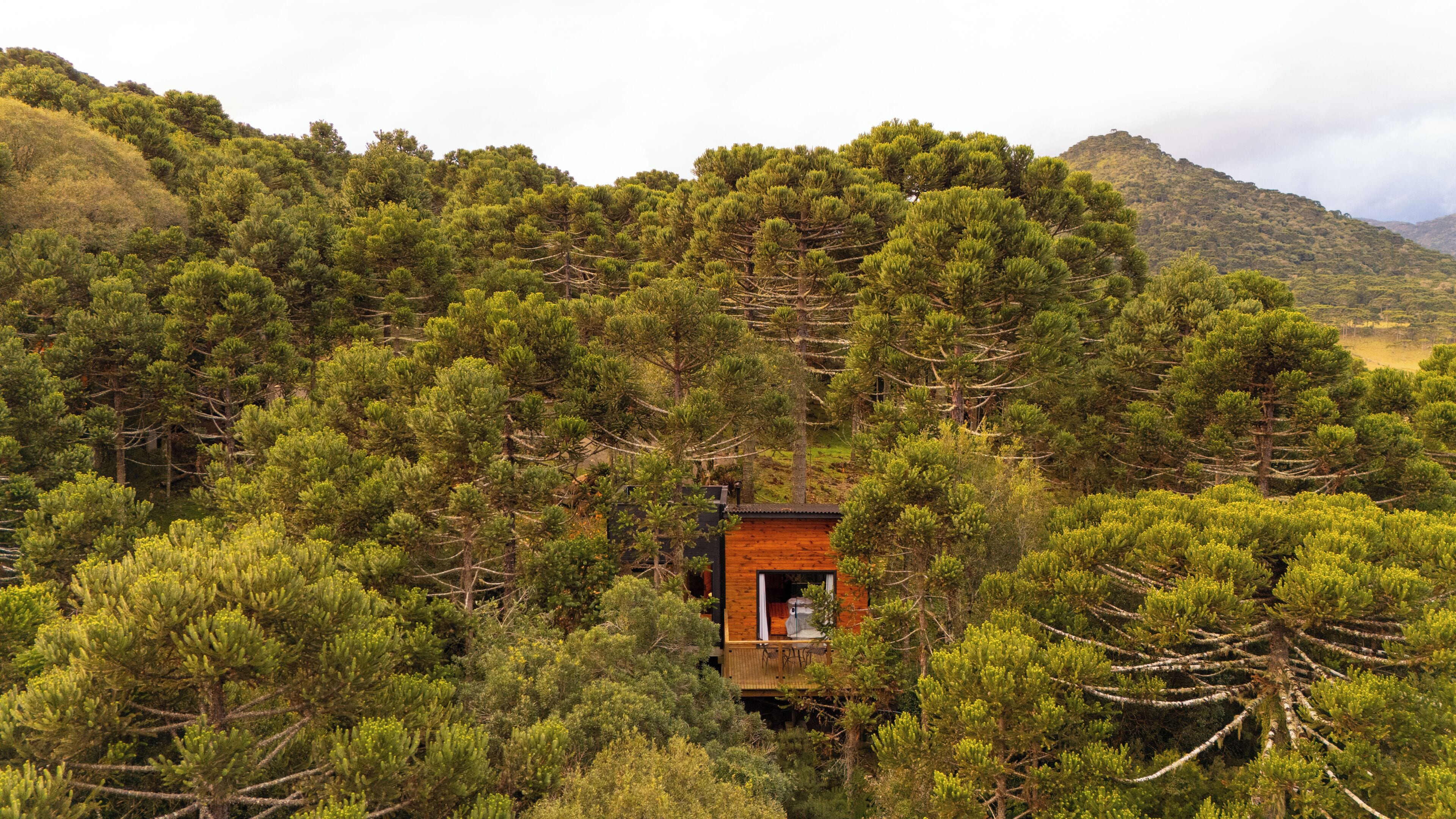 A cabin surrounded by dense forest with a view of a hill in the background.