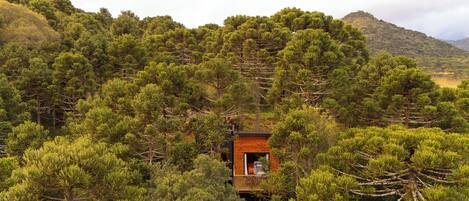 A cabin surrounded by dense forest with a view of a hill in the background.