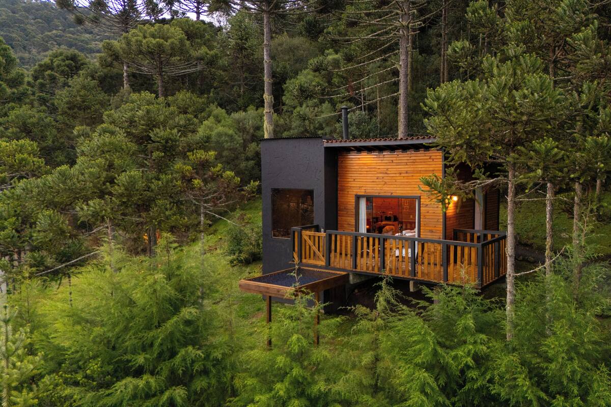 Une cabane dotée d’une terrasse en bois et d’un petit porche, entourée d’une forêt dense.