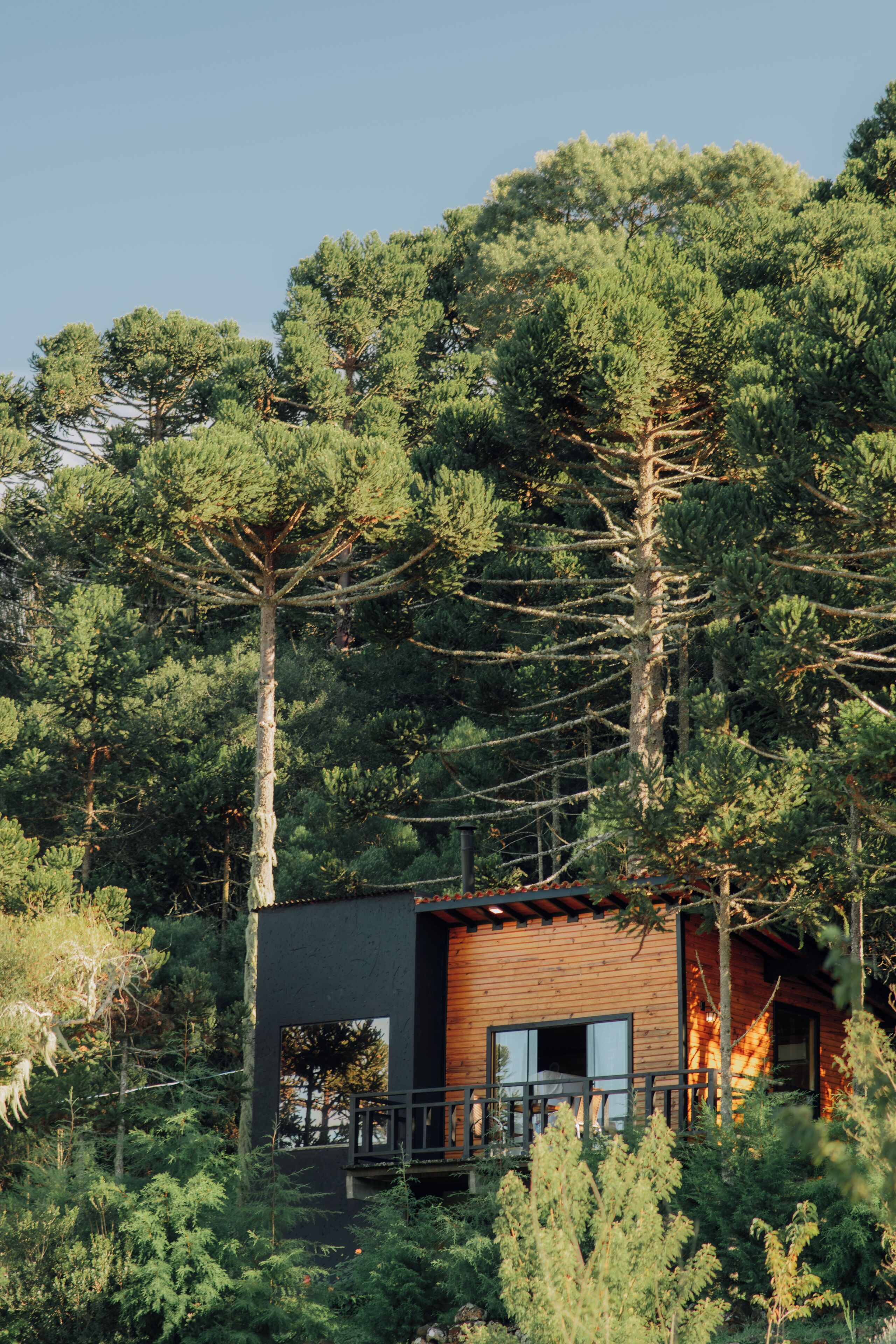 Una cabaña rodeada de un bosque frondoso, con fachada de madera y un balcón.