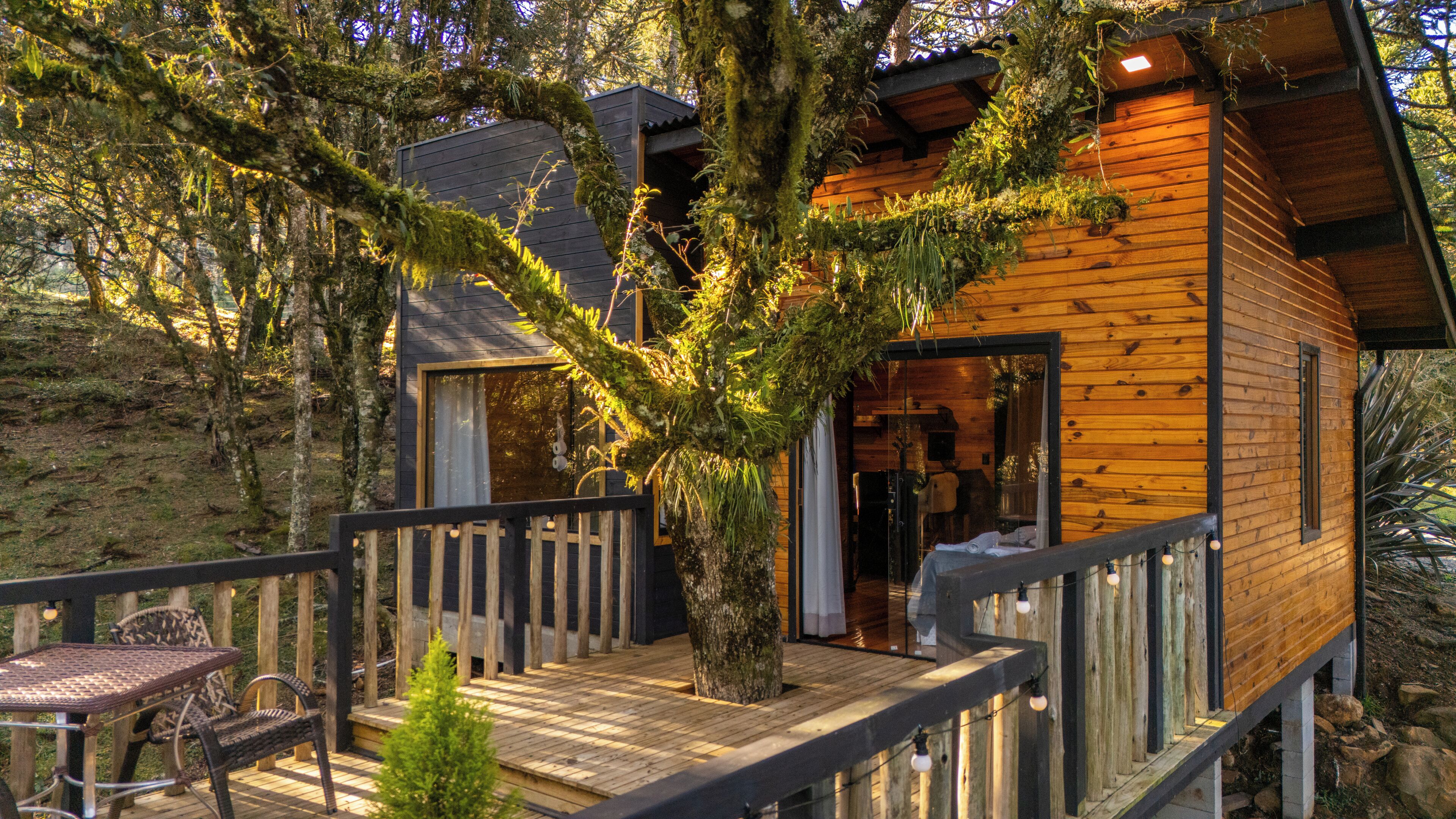 Une cabane en bois dotée d’une terrasse, entourée d’arbres.