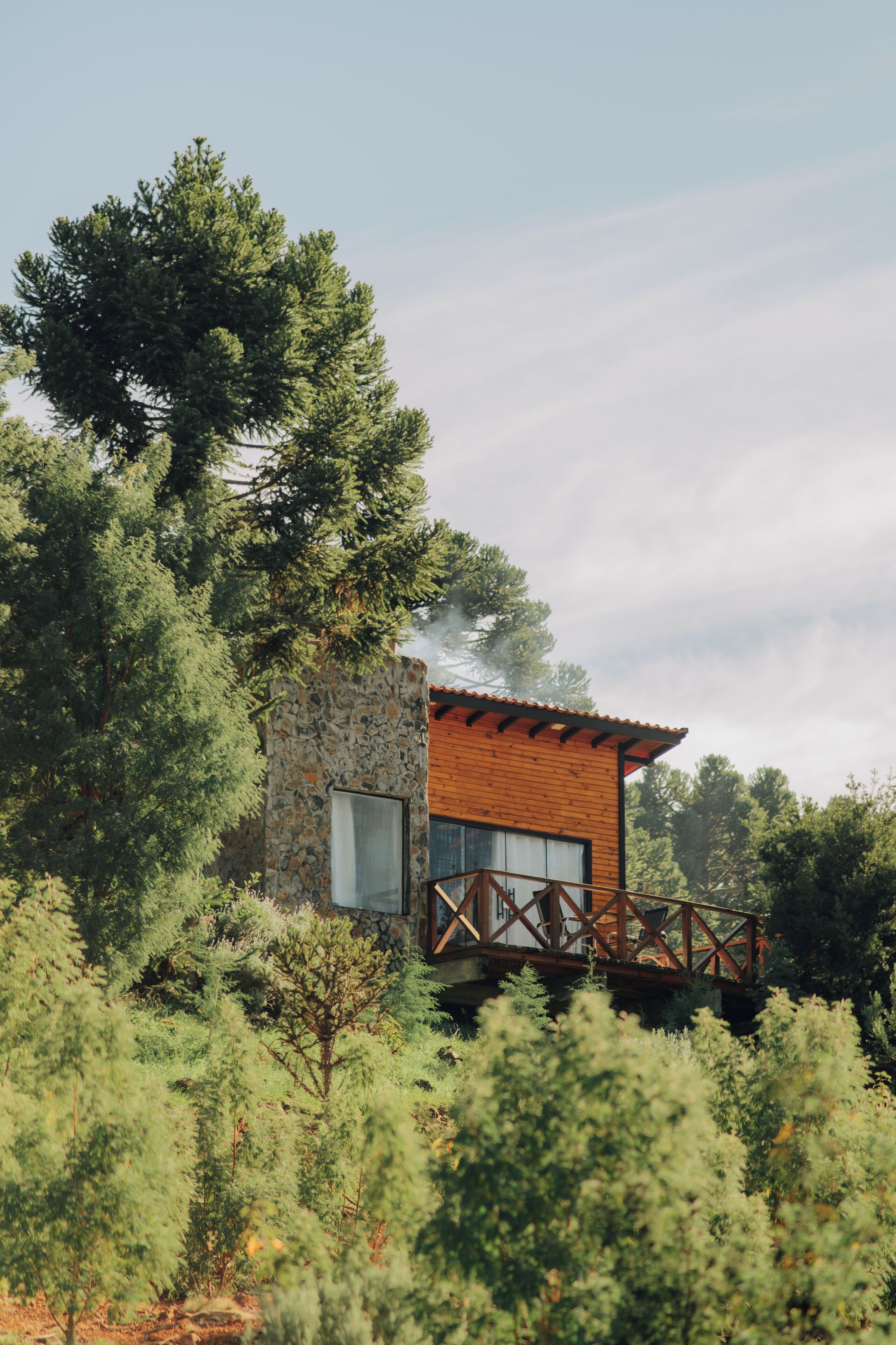 A rustic cabin with a stone exterior and wooden roof, surrounded by dense forest.